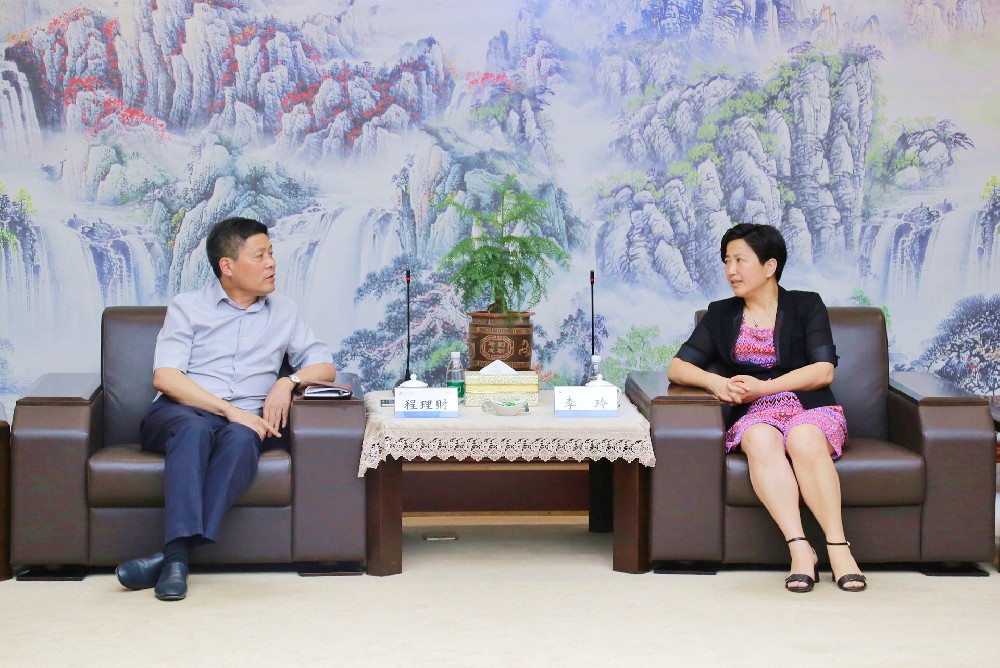 华纳公司团风县委书记李玲、县长何永红一行领导调研山河集团